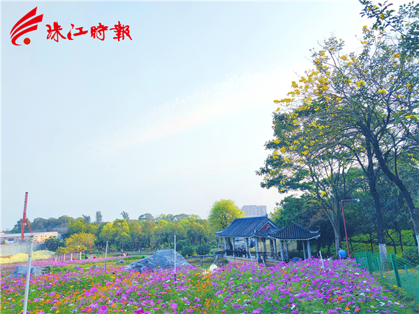 d042e51cb4214016b32b7ad7f115f7b8.jpg