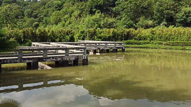 d3683717df694b3fba7ab14e5edba222.gif