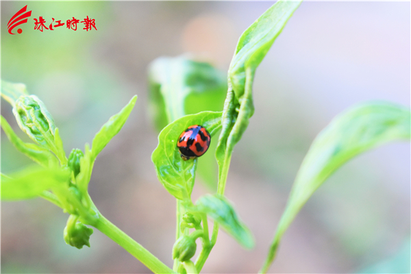 d7d748bef97040fd9943991aab51f1d5.jpg