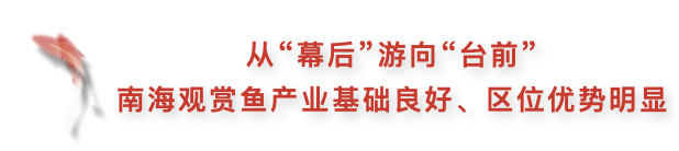 d7fc5aeb089944c39e16794b8f24a3e5.png