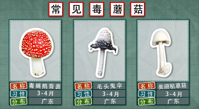 dcc3e7f27e9a463ebd0c1f99e0e5b5cb.png