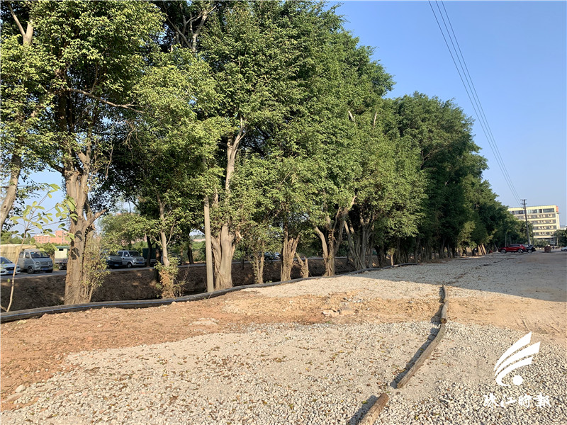 dd0d2152a5a74b9c8400804b52c09b9c.jpg