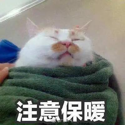e46e7ff86b704df397db0934abc8825e.jpg