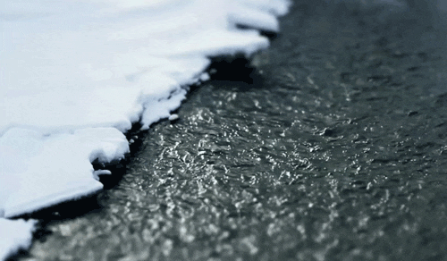 e7ff1403b6434e76aeeff997125fccb4.gif