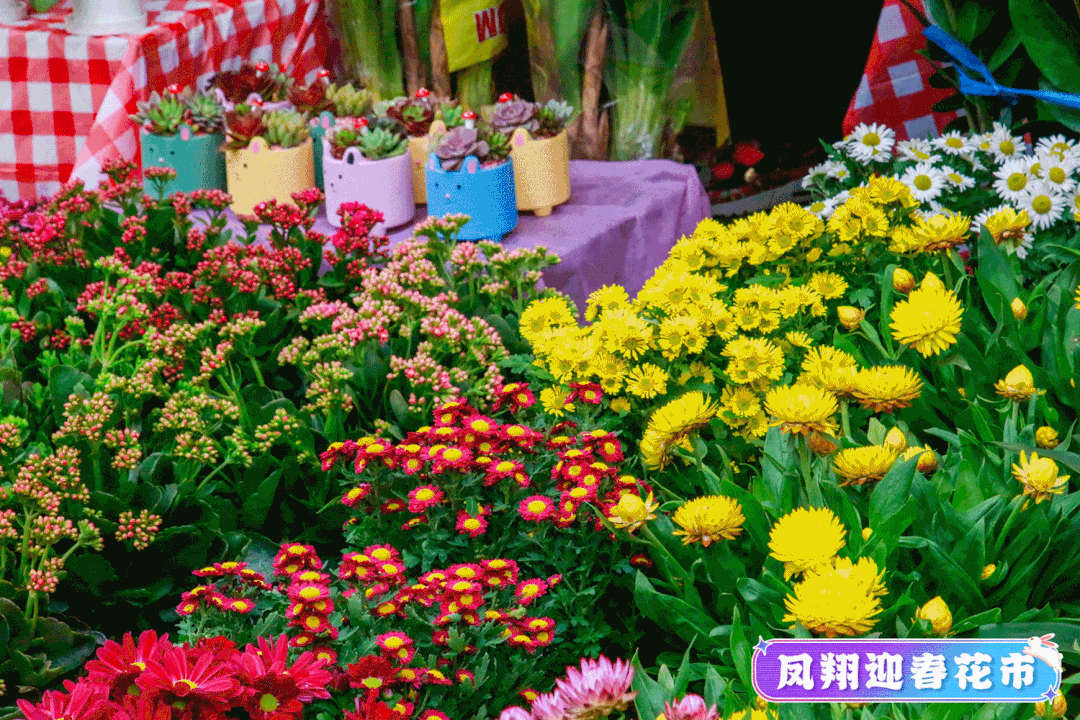eb851988f9f042658cb6ea7fbe17e5dd.gif