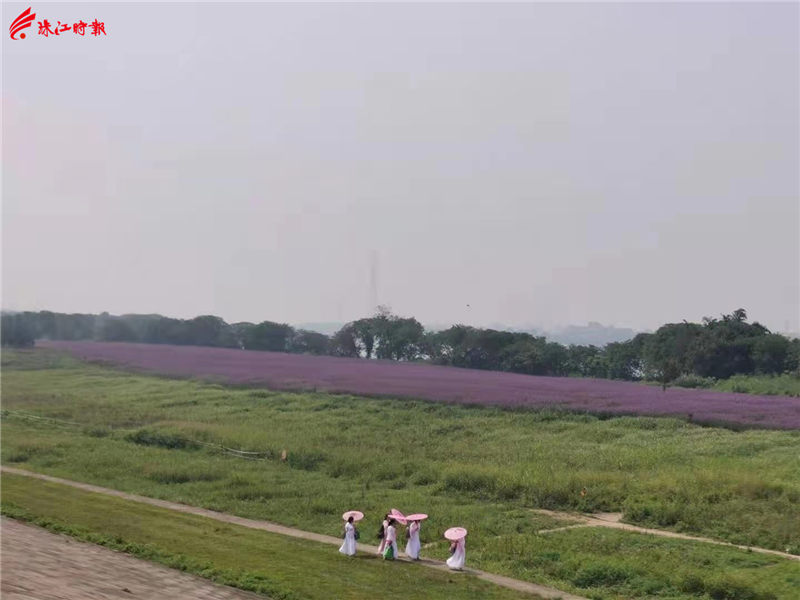 eb9de72be54147ccae5a546174246654.jpg