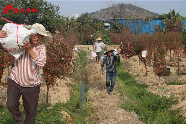 ec874a585c0b43039b17a718bdf2813c.jpg