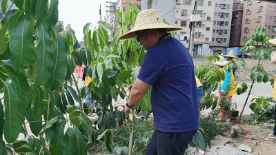 eda4734b297a4f5c85ebf6f738d87418.gif
