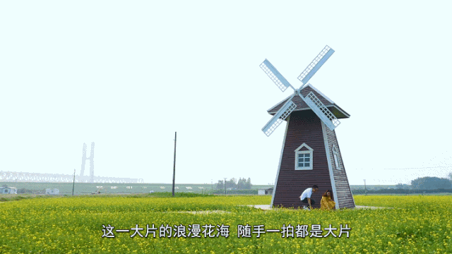 f15729ed827f4f0693ae06d1acbab596.gif