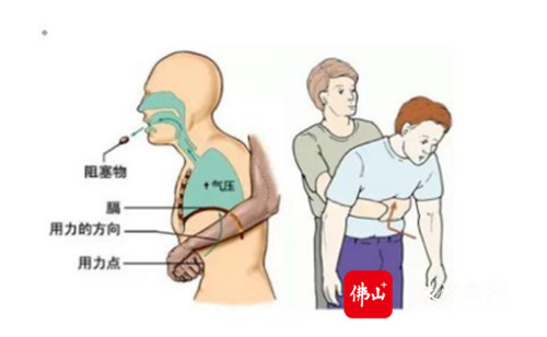 f599b5a6e71e4594a35fb9c020c67348.jpg