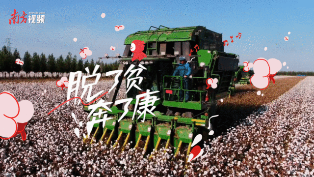 f705da2d88ad46d9a740ca8b6a67a5a1.gif