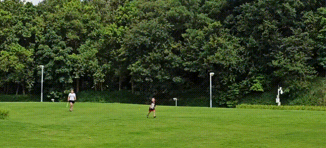f9c2ba1bfb9943e68752e488184fa448.gif
