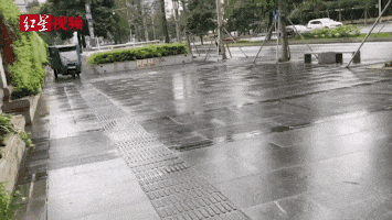 fd260193879846f2aaf262a171a196c3.gif